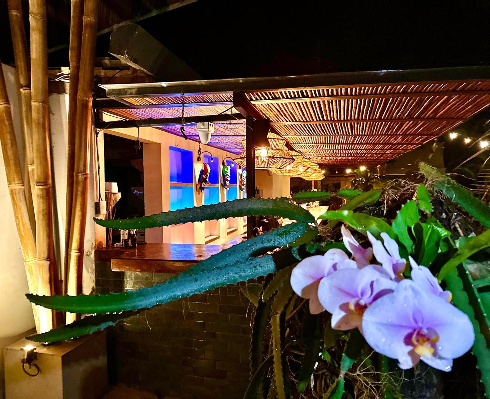 Curiol Boutique Hotel & Lounge Потреро Экстерьер фото